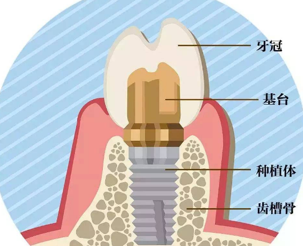 深圳维港口腔三康连锁